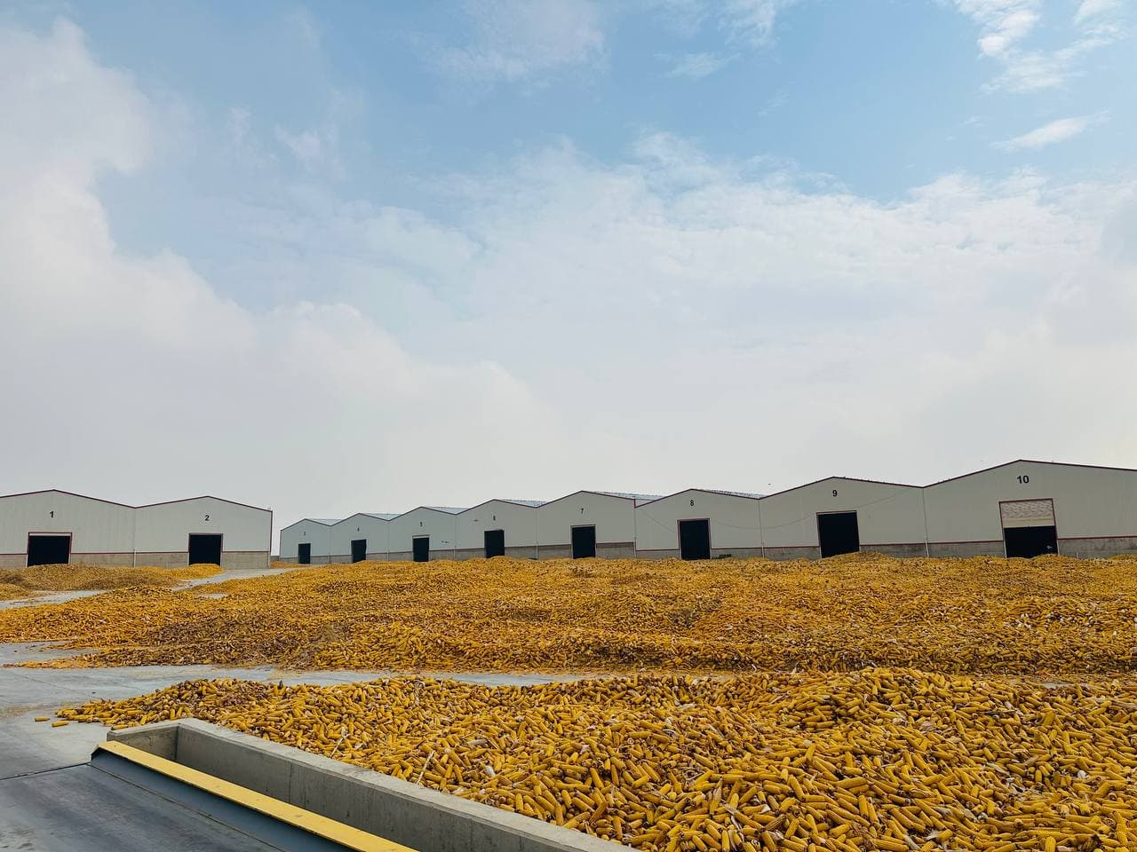 Kirkuk Company facility