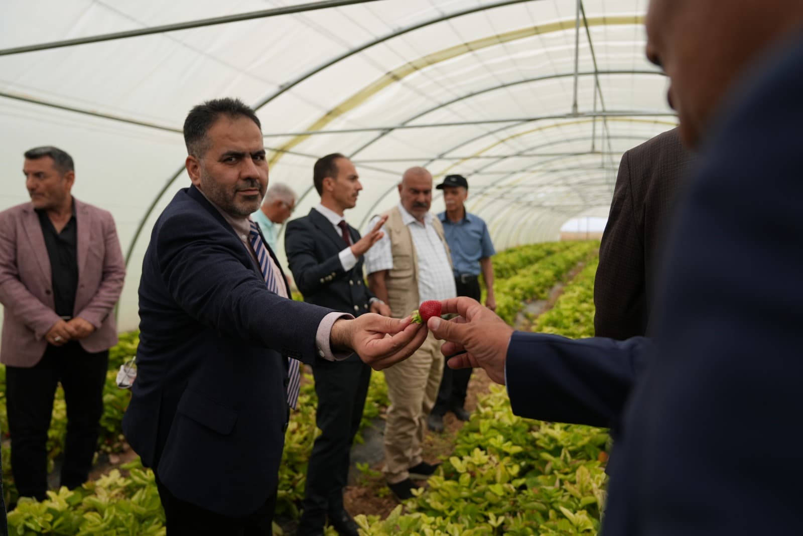 Deem Irrigation Partnership